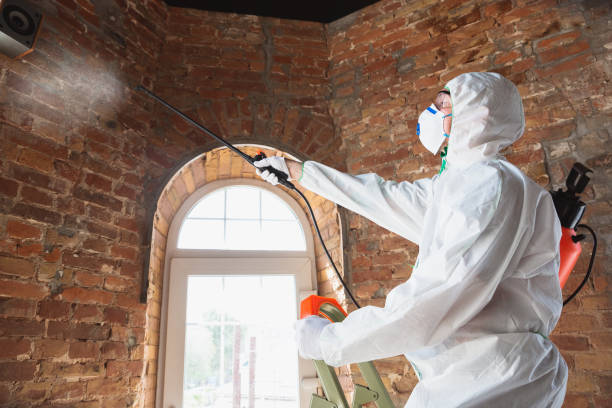 Mold Documentation for Insurance Claims in Vivian, LA